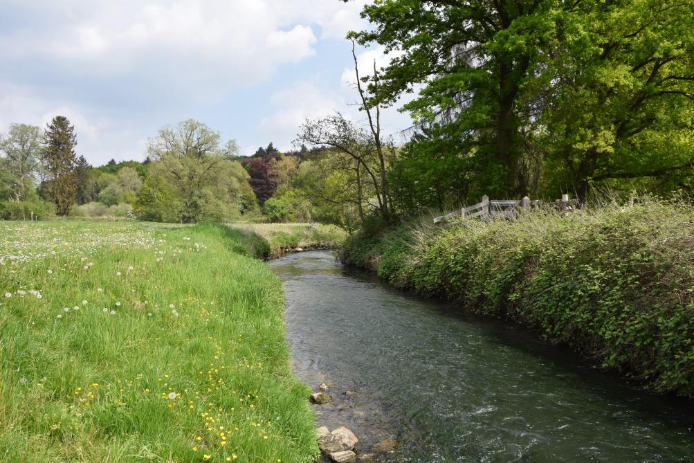 Vanaf 6 mei is het verboden om water uit de Laan te onttrekken in de gemeentes Huldenberg en Overijse.