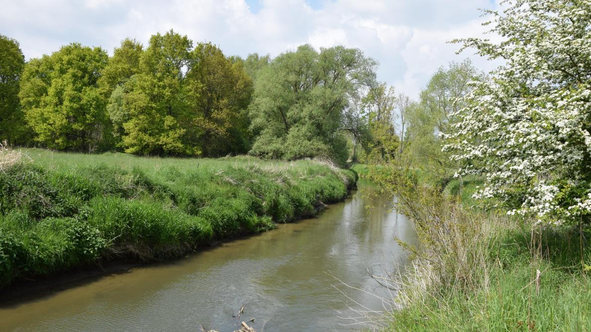 Oost-Vlaanderen verbiedt oppompen van water in onbevaarbare waterlopen.