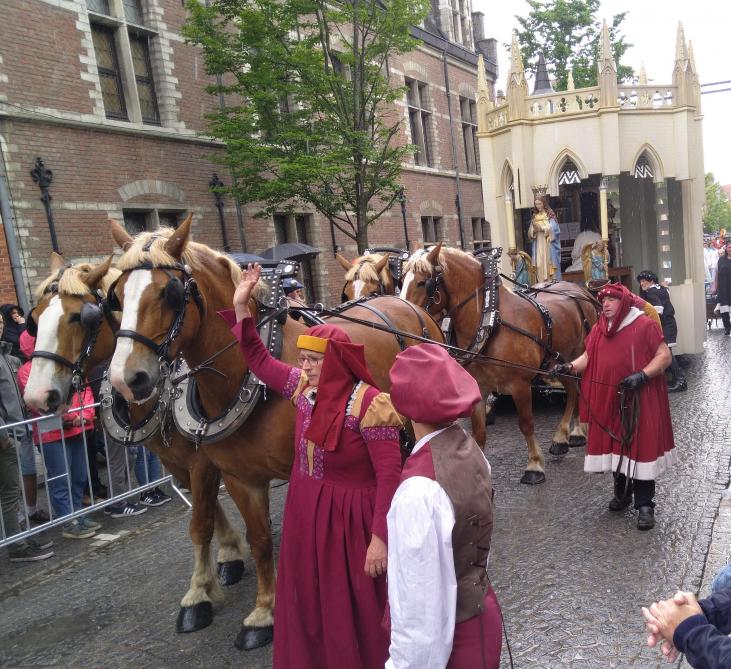 Vier Vlaamse paarden voor de praalwagen met de Onze-Lieve-Vrouwekerk van Dendermonde