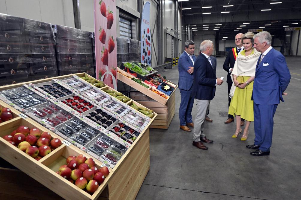 Belgisch vorstenpaar bezocht BelOrta bij de start van het hoogseizoen Belgisch zachtfruit