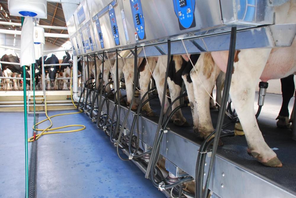 De melkprijs van mei 2022 ligt 46% hoger dan de melkprijs in dezelfde maand in 2021.