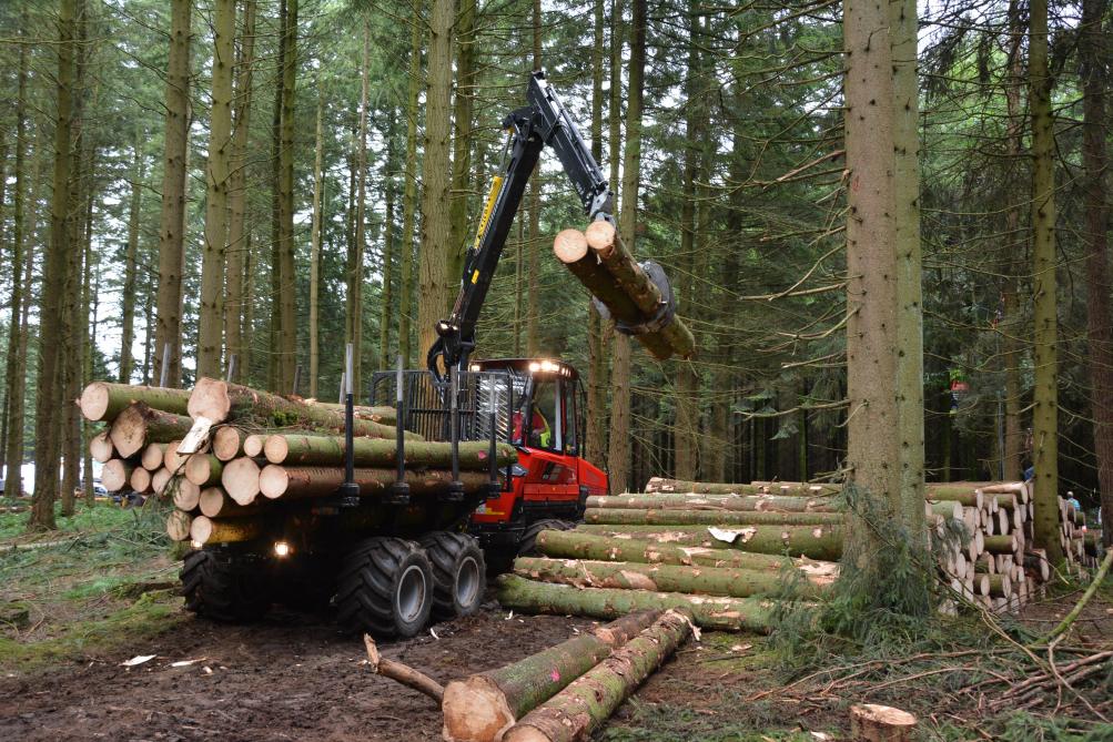 Met bosbouwdemonstraties biedt men de exposanten de kans om hun knowhow en materieel in reële werkomstandigheden voor te stellen.