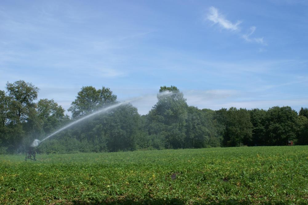 De irrigatie moet blijven gebeuren in functie van een rendabele teelt.