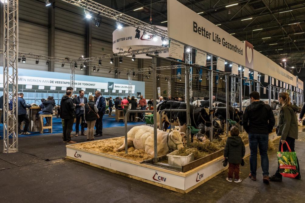 Agriflanders is ook kijken naar de tentoongestelde dieren in hal 8.