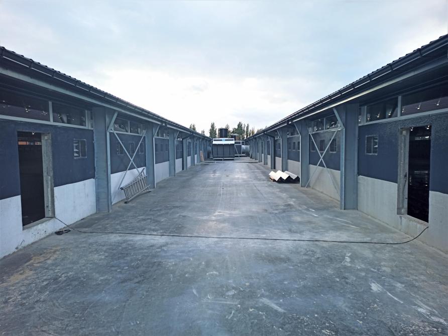 Tussen de 2 nieuwe stallen werd een grote regenwaterput gebouwd van 100 m lang en 6 m breed.
