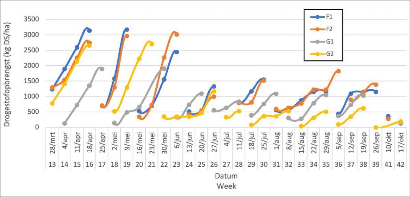 Figuur 1: Geraamde drogestofopbrengst per snede op basis van de hoogtemetingen doorheen het jaar op 4 percelen op 2 verschillende bedrijven (F en G), met irrigatie in regio Oost.