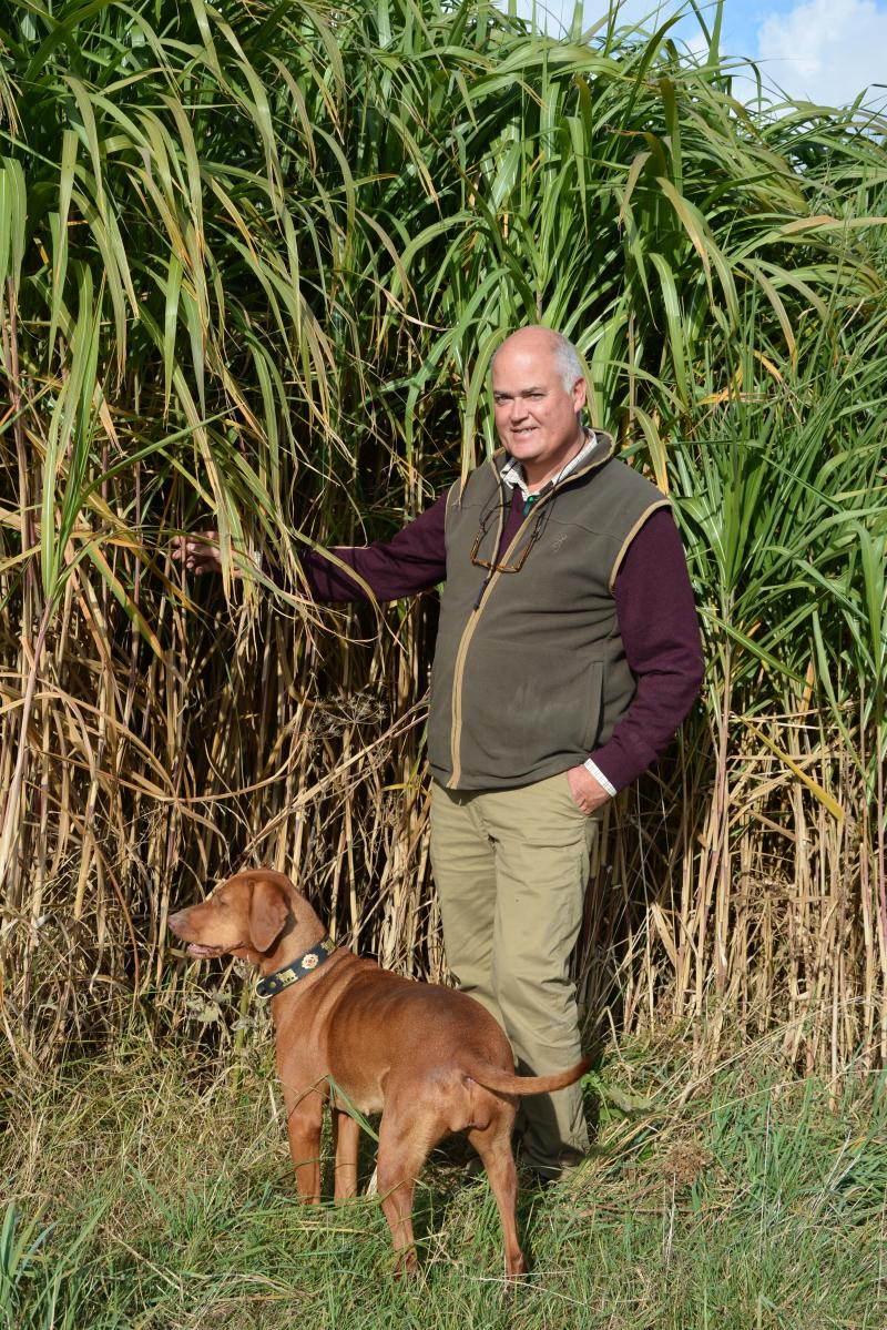 Cédric de Bergeyck: De miscanthusteelt is gemakkelijk en heeft geen bemesting of gewasbescherming nodig.