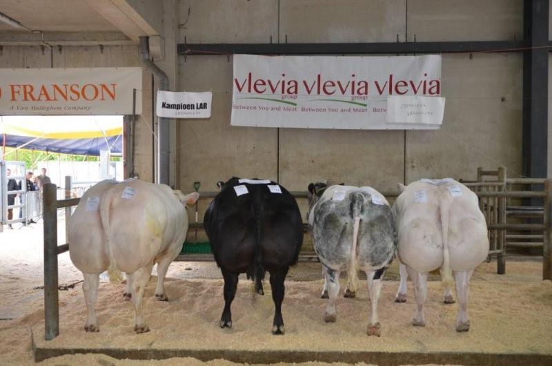 De vier ereprijzen vrouwelijke  dieren.