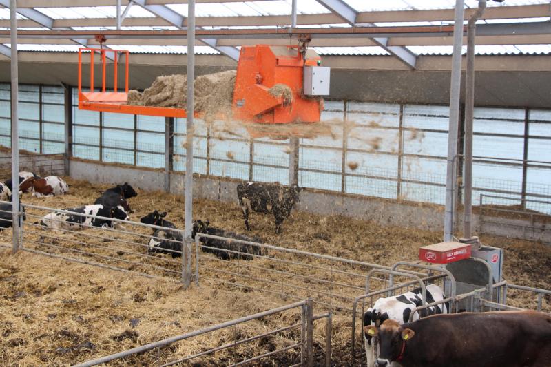 De stal wordt automatisch ingestrooid met een stroverdeler die tot 15 meter breed kan strooien.
