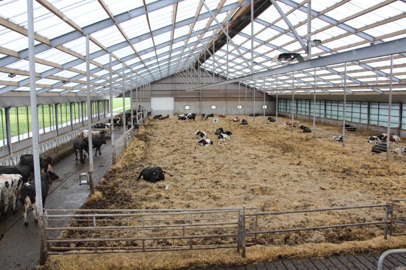 Dit Light Roof dak bestaat uit polycarbonaatplaten in drie lagen met afgesloten luchtkanalen ertussen en een aluminium coating om de UV-straling te temperen.