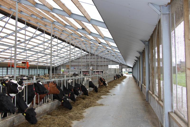 Het eerste stuk plafond heeft toch platen vanwege de juiste luchtventilatiestromen door de stal.