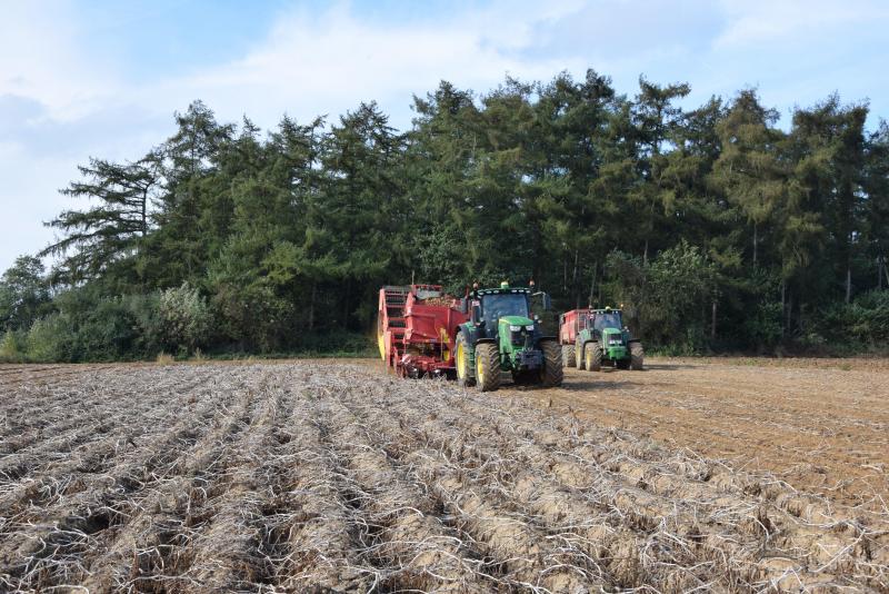 Opbrengstresultaten van proefveldwerking laat zien dat extra voeding van stikstof via het loof kan renderen, maar de meerwaarde bleef (misschien seizoensspecifiek) beperkt.