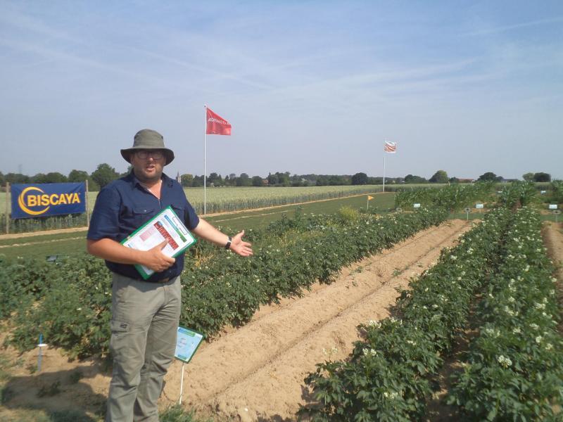 In aardappelen  een gelijkaardig verhaal als in maïs: wegvallen van middelen dwingt  ons naar een andere onkruidbestrijdingsstrategie te gaan.