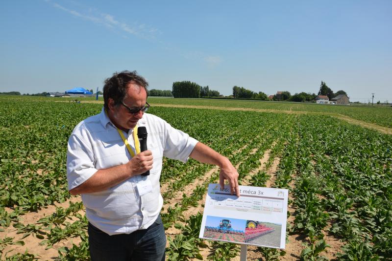 “Met de enkel mechanische  bestrijding is er tussen de rijen een goede onkruidbestrijding, maar in de rijen is er nog een probleem”, zo legt Olivier Mostade uit bij de proef inzake combinatie van chemische en mechanische onkruidbestrijding in de cichoreiteelt.