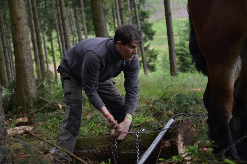Er is geen geheim om te slagen in dit vak. Men moet houden van paarden en niet bang zijn om de handen uit de mouwen te steken.