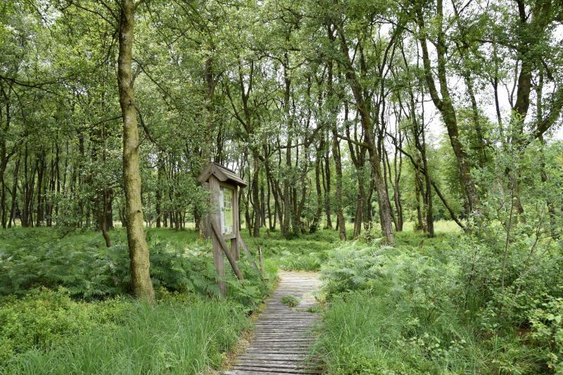 De omkadering van de jacht, het opvolgen van populaties, het bostoezicht, het schalmen (aanduiden van te kappen bomen), het onderhoud van wandelpaden...veel taken die tot de verantwoordelijkheid van de boswachter behoren tijdens de seizoenen.