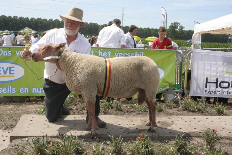 Dagkampioen Rouge de l’Ouest: 535175-61008, Van Ackere F. uit Avelgem.