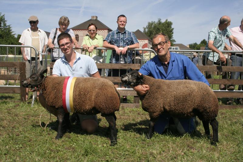 Blauwe texel beste ramlam: 4212-1440, Werbrouck W.&G. uit Gits.