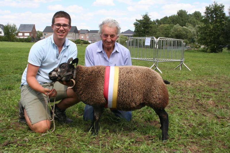 Blauwe texel beste ooilam: 4212-1451, Werbrouck W.&G. uit Gits.