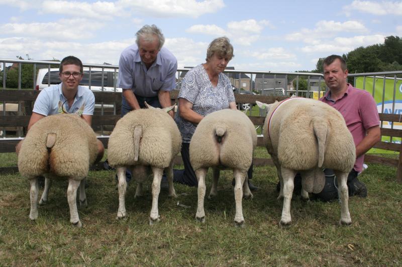 Texelaar bedrijfsgroep:
 Werbrouck W.&G. uit Gits.