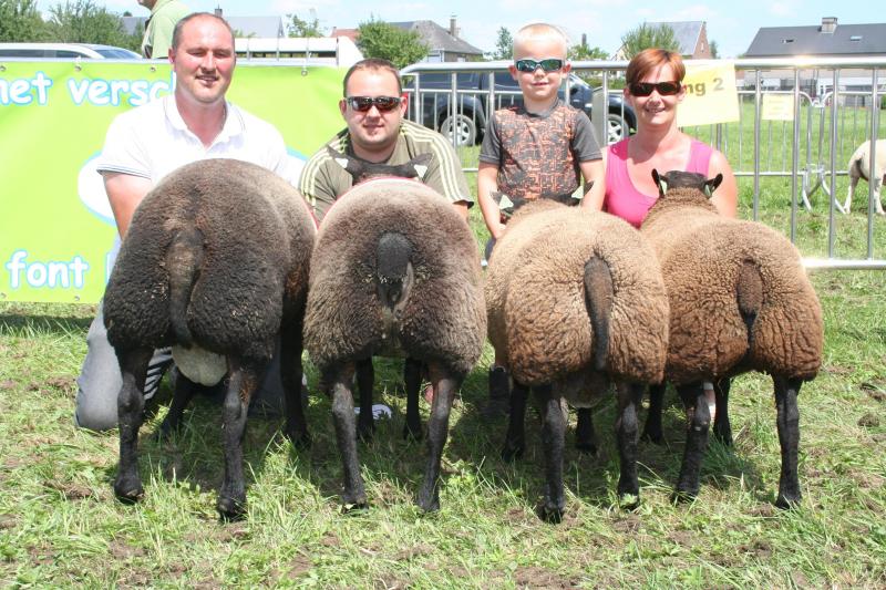 Blauwe texel bedrijfsgroep: Wauters C. uit Lokeren.