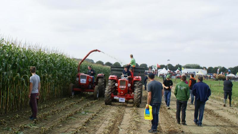 De Werktuigendagen willen binnen het oldtimergebeuren verder inzetten  op het hakselen van maïs met oudere machines.