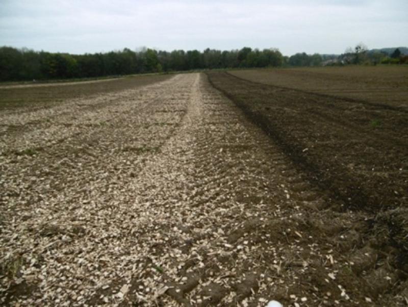 Houtsnippers (links) en
compost (rechts) toegediend op het SoilCare-proefveld te Lovenjoel