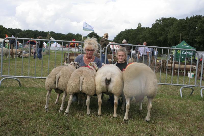 Bedrijfsgroep Texel. Eig.: Sprangers J., Meer.