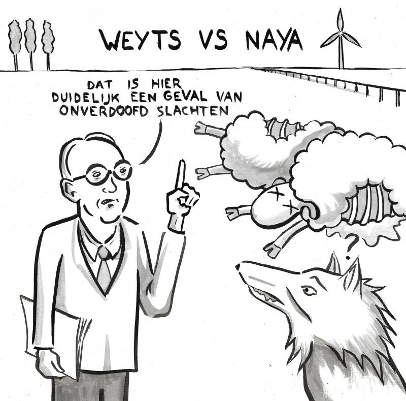 Tijdens de discussie werd gewezen op het dierenleed dat een wolf veroorzaakt.