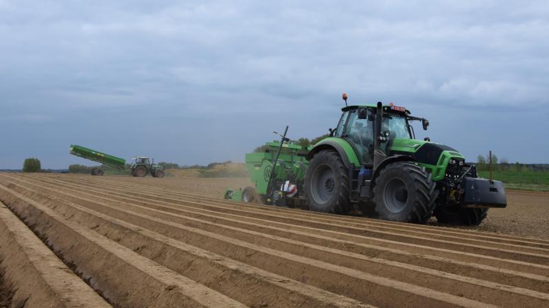 Bintje kent samen met Lady Anna  de ruimste plantafstand in de rij, namelijk 40 cm.