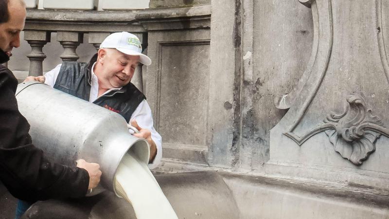 Fairebel leverde de melk die Manneken Pis vandaag uitplast.
