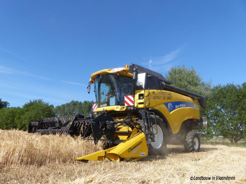 Pikdorsen was al van kinds af aan de passie van Jordy. Een eigen maaidorser is een prachtige aanvulling op de loonwerkactiviteiten in het gras.