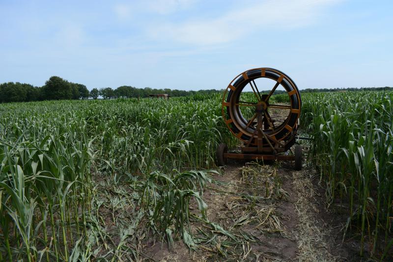 De droogte stelt boeren voor grote problemen.