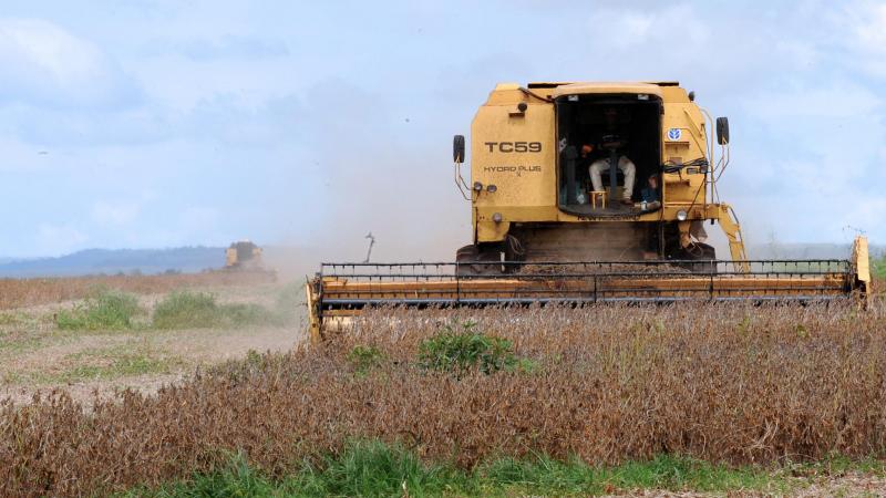 De Brazilianen blijven zich de komende tijd doorontwikkelen als zwaargewicht in de export van vlees en akkerbouwproducten.