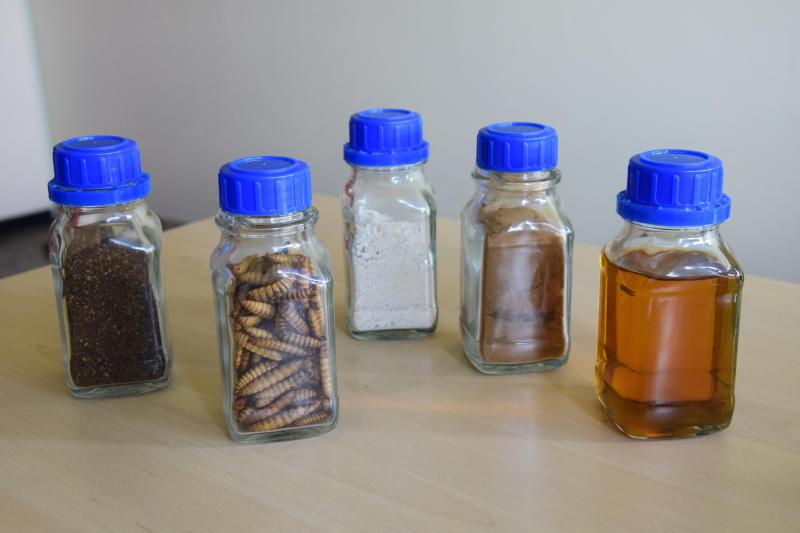 Millibeter verwerkt de larven van de zwarte soldatenvlieg (l) tot chitine, eiwithydrolysaat en vet (vlnr).