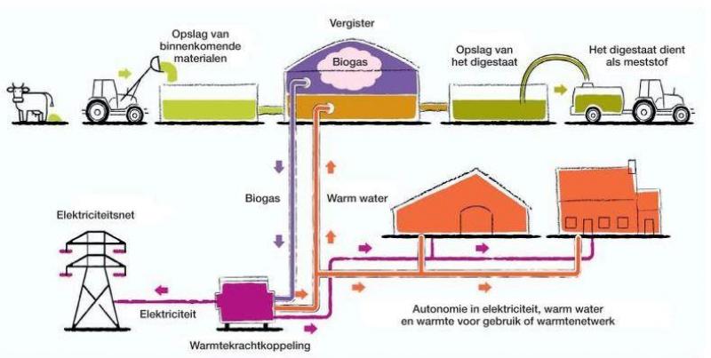 Figuur 1 : algemeen principe van biomethanisatie.