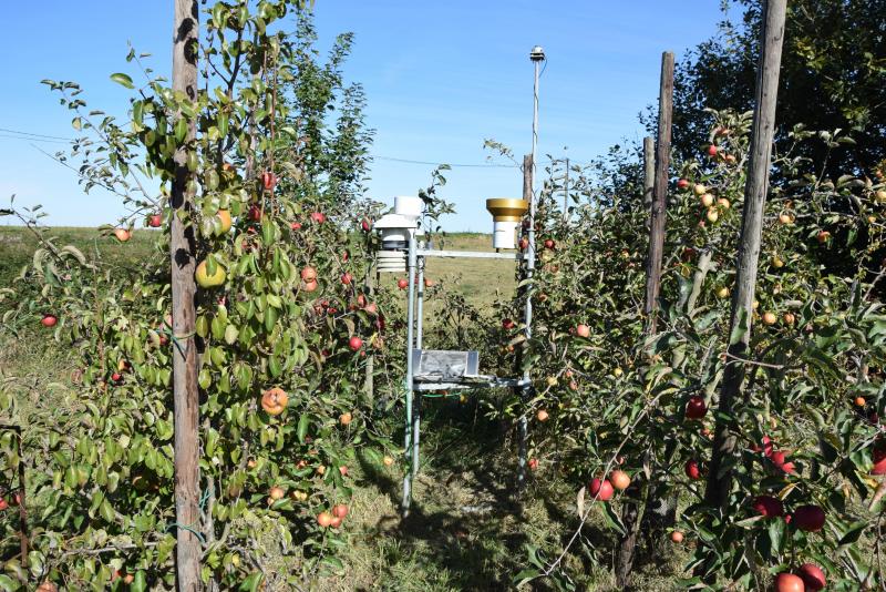 Het weerstation dat mede zorgt voor een slimme aansturing van de energiebehoefte van de aardappelbewaarloods.