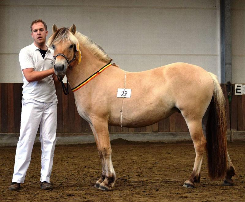 Sarra van de Landweg, jeugdkampioene. Eig.: Tom De Clercq, Zomergem.