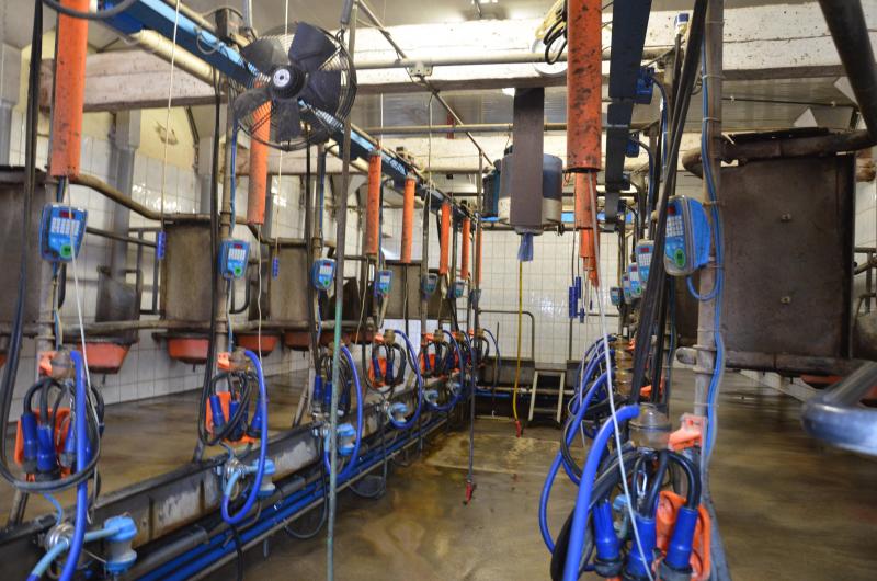 In de melkstal vindt men nog de leidingen van de oude stal terug. Enkel de automatische afname werd recent vernieuwd.