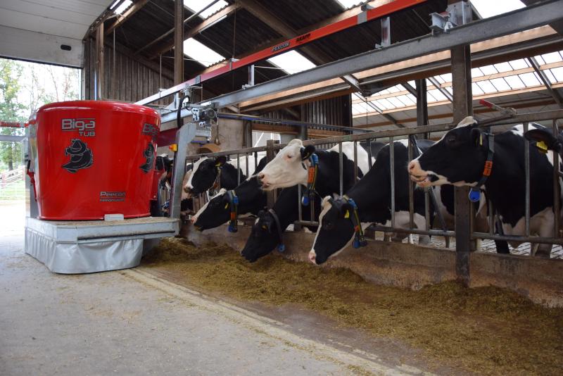 Onder de Peecon-merknaam ontwikkelde Peeters Landbouwmachines een voerrobot.