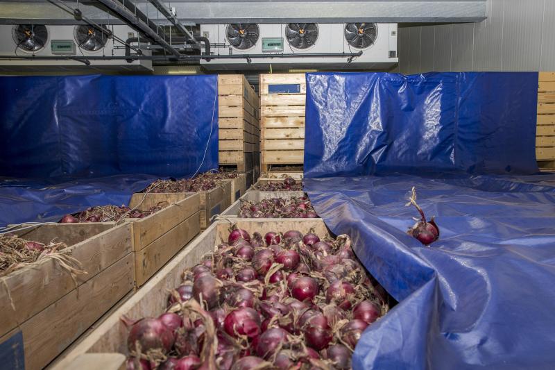 De koeldroogunits van een condensdroogsysteem in een uienbewaring.