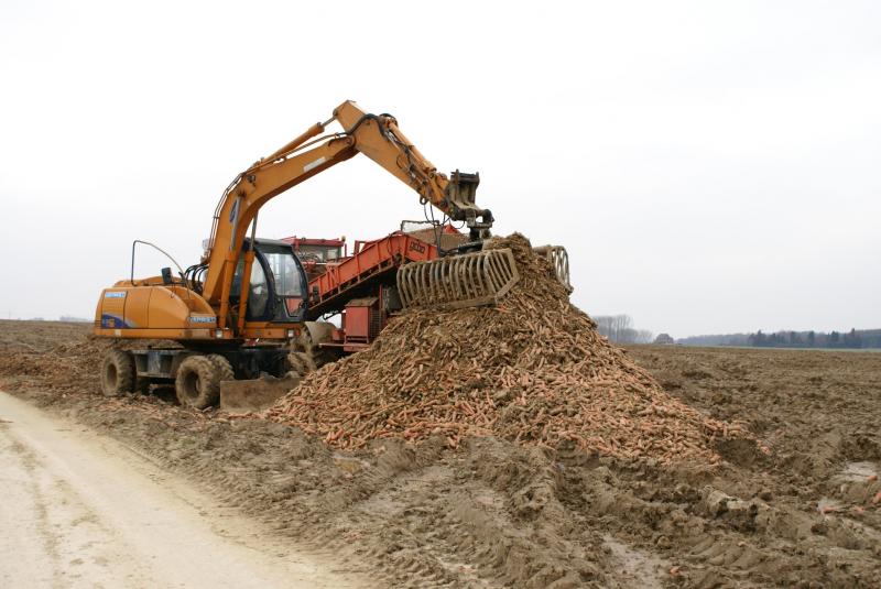 In de gemechaniseerde teelten werken landbouwers en verwerker zeer intensief samen.