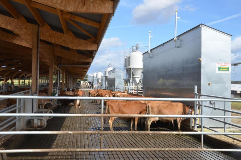 De voederverdelers worden eenmaal per week gevuld. Ze kunnen tot 2,6 ton hooi bevatten. Om het ruwvoederrantsoen aan te vullen zijn ook krachtvoerautomaten voorzien die rechtstreeks bevoorraad worden vanuit de eigen voederfabriek.