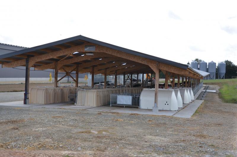 Achter de kalverboxen is de structuur van de stal voor de dieren vanaf 6 maanden identiek aan deze van de koeien in lactatie. Ze blijven dus in dezelfde omgeving tot wanneer ze het bedrijf verlaten, wat het welzijn van de dieren ten goede komt.