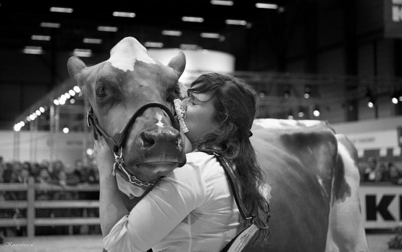 Coach Mieke Vander Schueren kust haar prijskoe op Agriflanders.