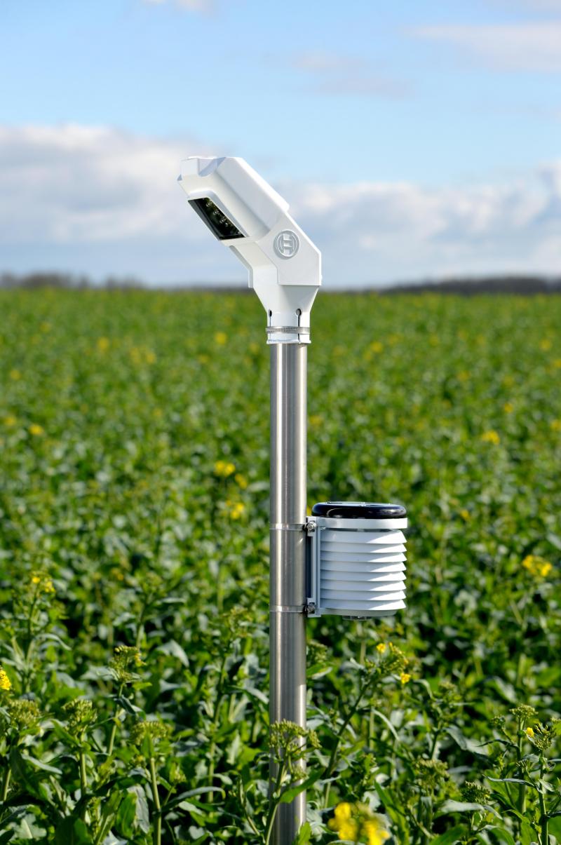 Met de Field Sensor van Bosch kan de teler het gewas opvolgen met sensoren.