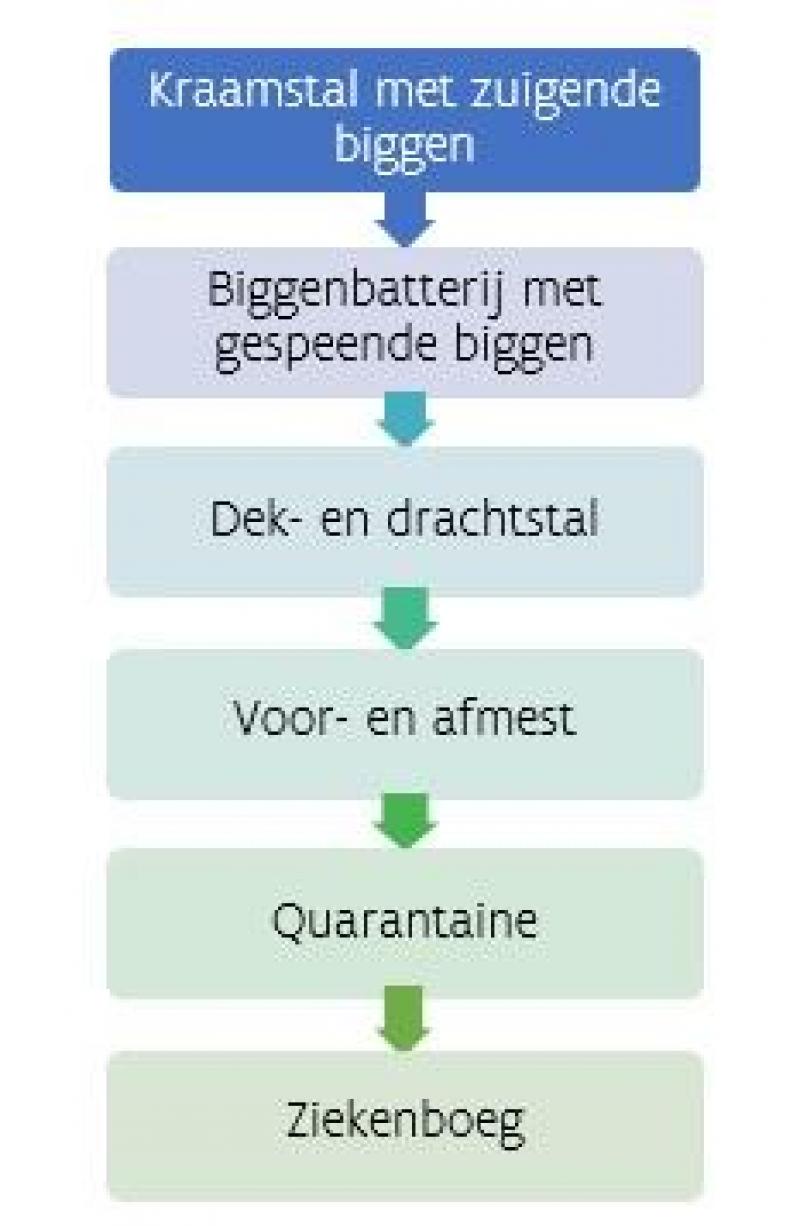 Figuur 2: Doorloop, bij het controleren van de dieren, de verschillende afdelingen in een correcte volgorde. Wissel bij het bij elke afdeling van kledij en schoeisel, en reinig en ontsmet de handen.