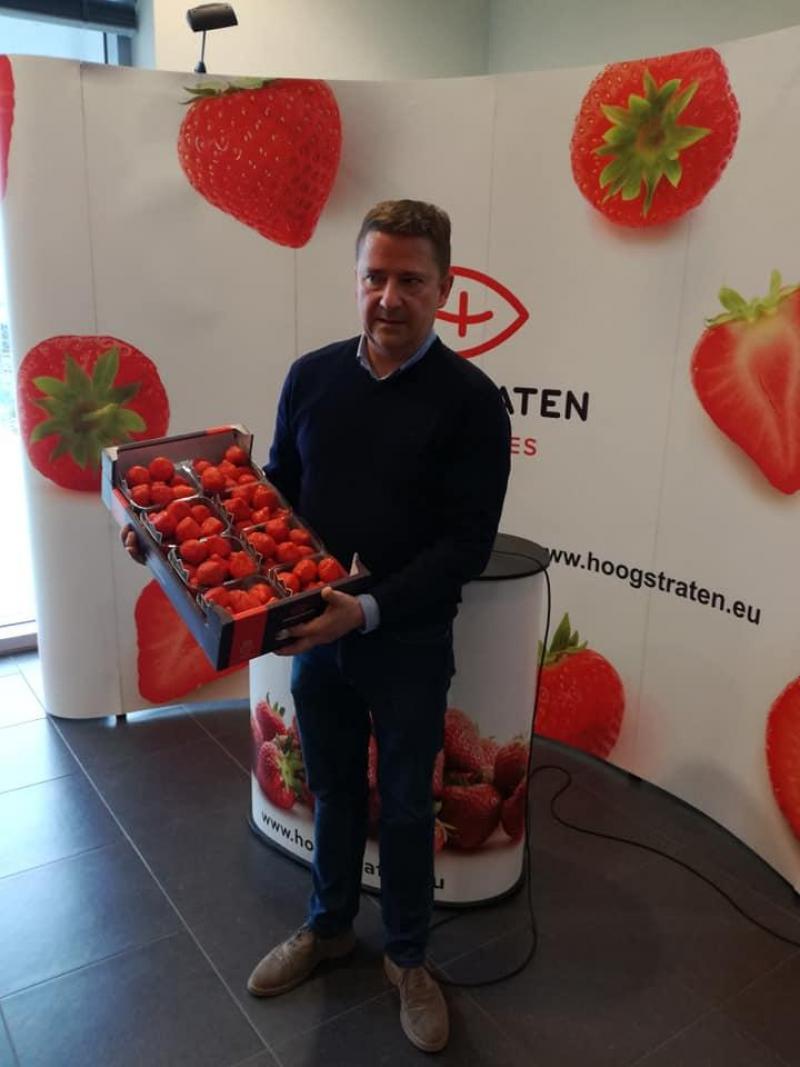 Hoogstraten