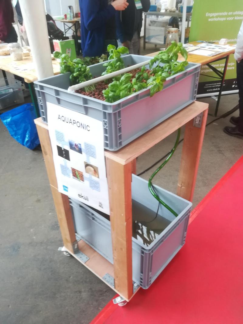 ReaGent demonstreerde een kleinschalige aquaponics-installatie.