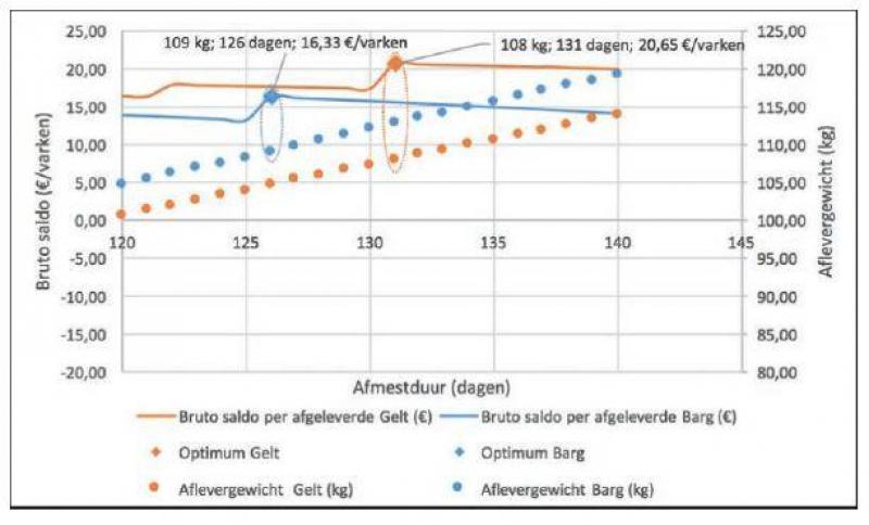 Figuur 1: Optimaliseer je slachtgewicht door het maximale bruto saldo per varken na te streven. (De linker as geeft het bruto saldo (in euro) per varken weer in functie van de afmestduur. De rechter as toont het aflevergewicht (in kg) in functie van de afmestduur.)